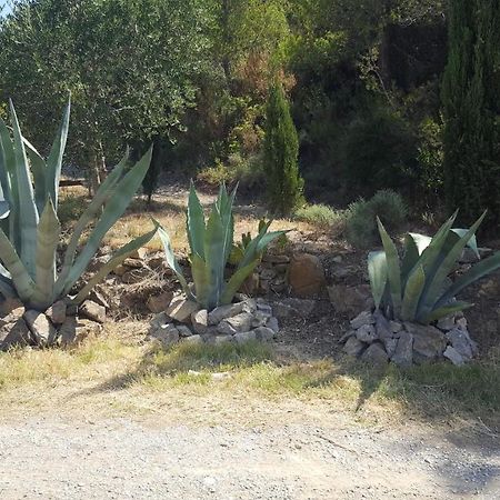 La Loubiere, Ancienne Bergerie En Pleine Garrigue Bed & Breakfast Fraisse-des-Corbieres ภายนอก รูปภาพ