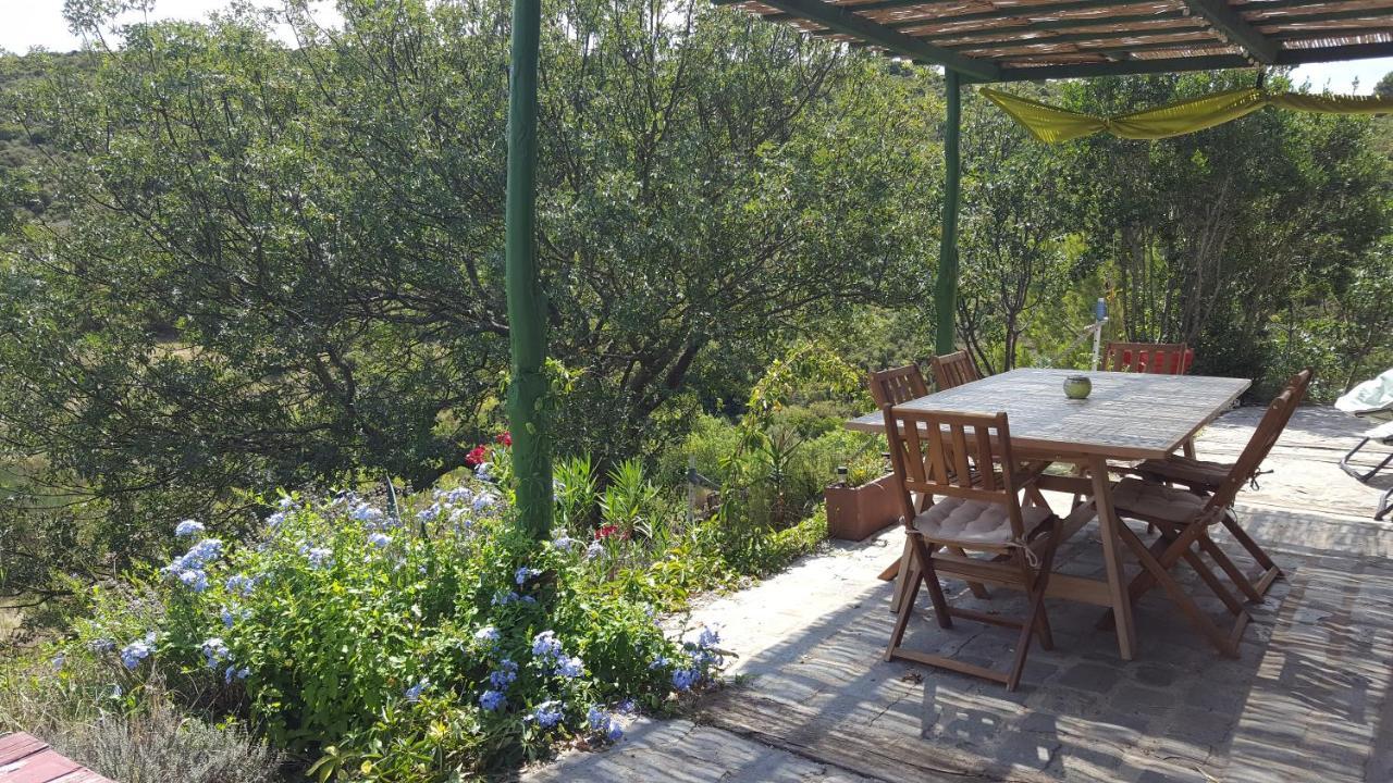La Loubiere, Ancienne Bergerie En Pleine Garrigue Bed & Breakfast Fraisse-des-Corbieres ภายนอก รูปภาพ
