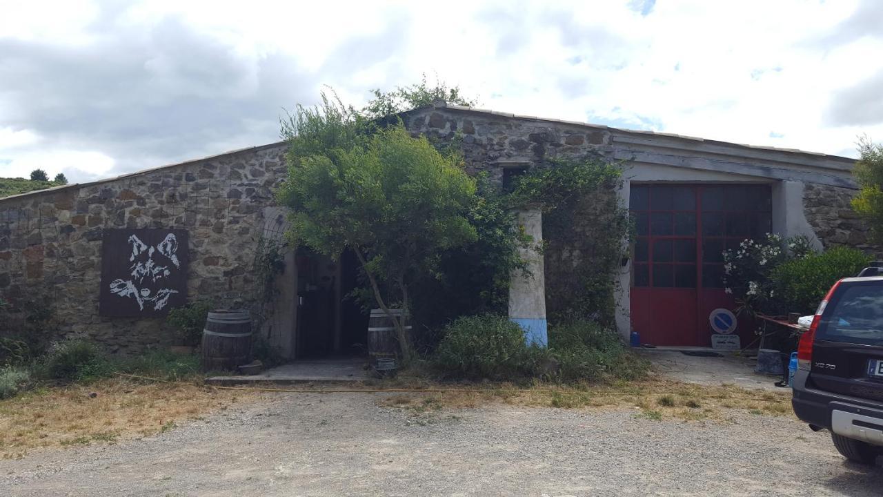 La Loubiere, Ancienne Bergerie En Pleine Garrigue Bed & Breakfast Fraisse-des-Corbieres ภายนอก รูปภาพ