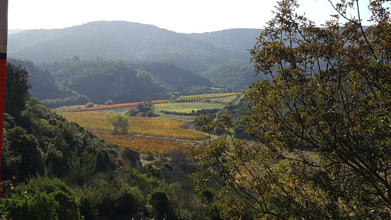 La Loubiere, Ancienne Bergerie En Pleine Garrigue Bed & Breakfast Fraisse-des-Corbieres ภายนอก รูปภาพ