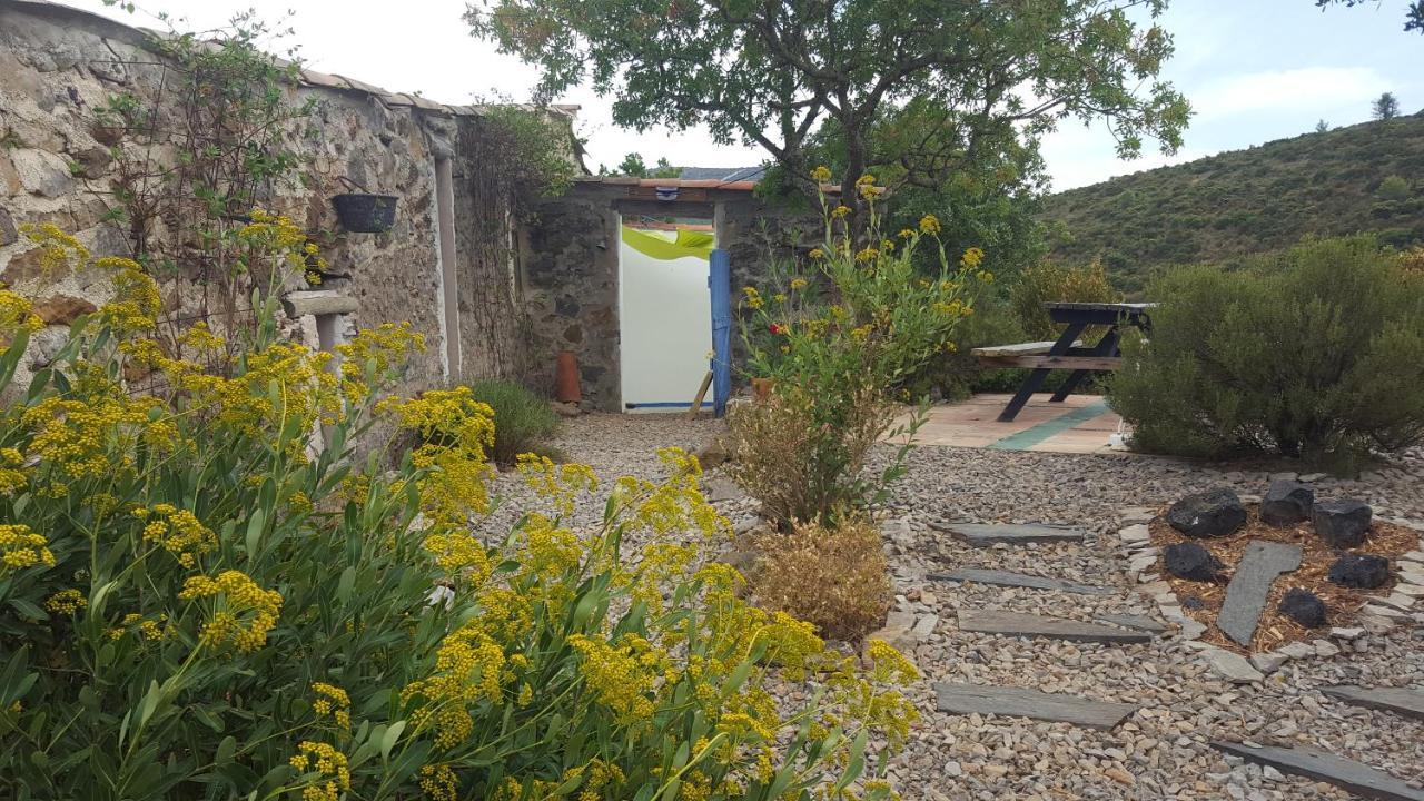 La Loubiere, Ancienne Bergerie En Pleine Garrigue Bed & Breakfast Fraisse-des-Corbieres ภายนอก รูปภาพ