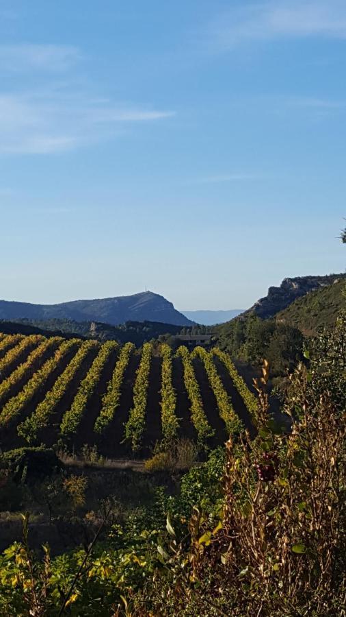 La Loubiere, Ancienne Bergerie En Pleine Garrigue Bed & Breakfast Fraisse-des-Corbieres ภายนอก รูปภาพ