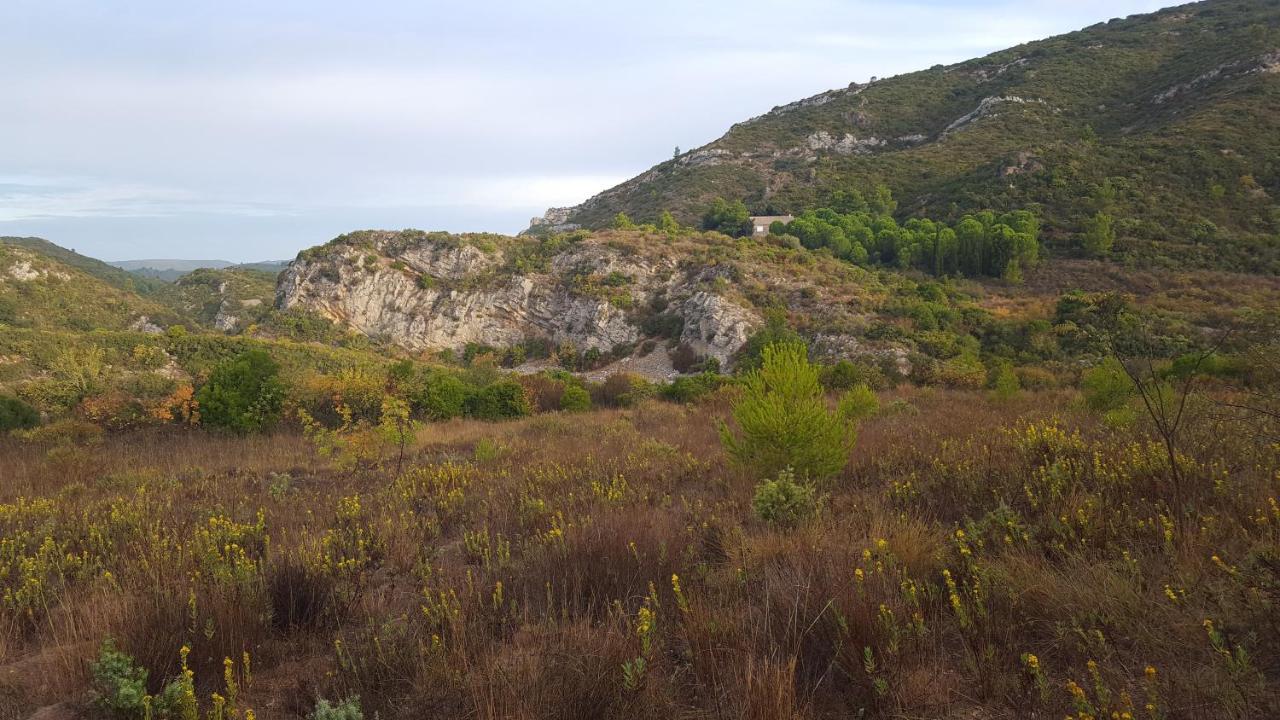 La Loubiere, Ancienne Bergerie En Pleine Garrigue Bed & Breakfast Fraisse-des-Corbieres ภายนอก รูปภาพ
