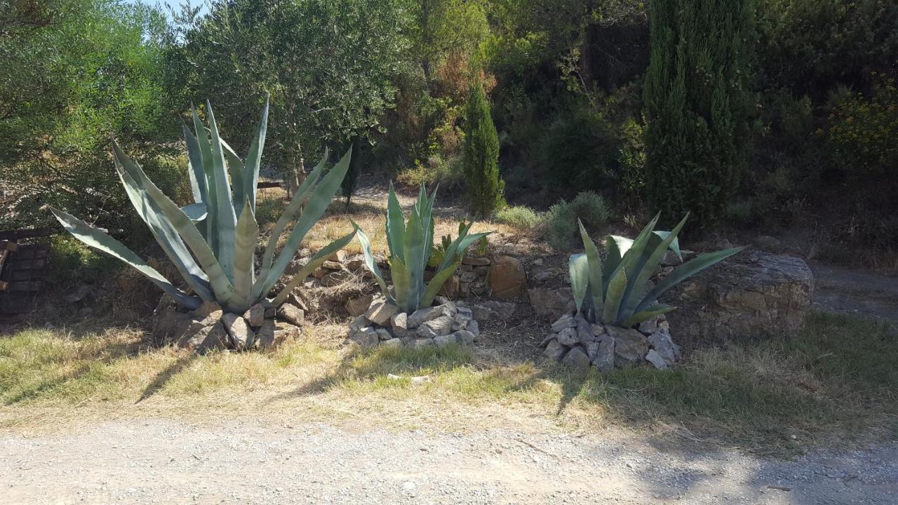 La Loubiere, Ancienne Bergerie En Pleine Garrigue Bed & Breakfast Fraisse-des-Corbieres ภายนอก รูปภาพ